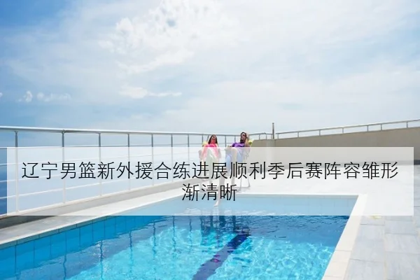 辽宁男篮新外援合练进展顺利季后赛阵容雏形渐清晰
